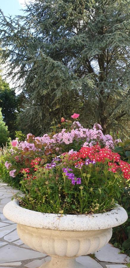 Crown Roads Bed & Breakfast Le Faouët Dış mekan fotoğraf