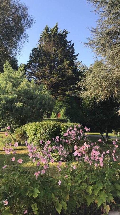 Crown Roads Bed & Breakfast Le Faouët Dış mekan fotoğraf