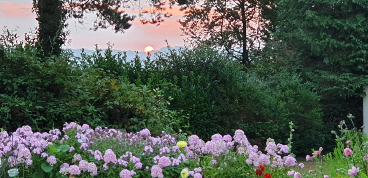 Crown Roads Bed & Breakfast Le Faouët Dış mekan fotoğraf