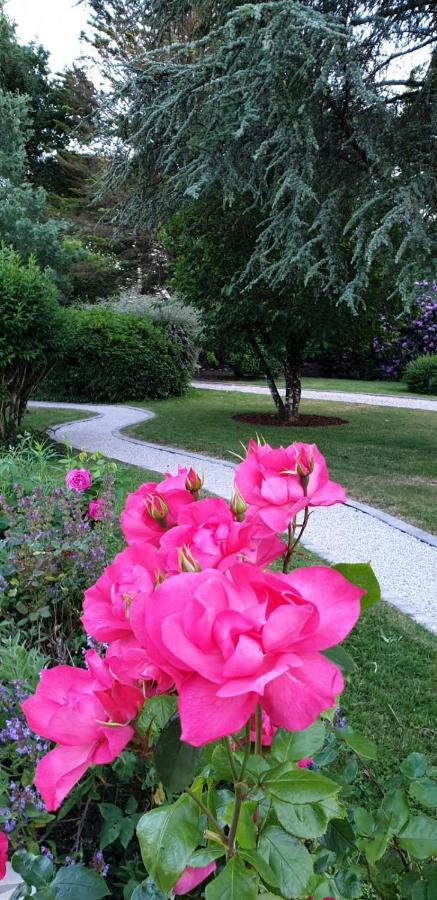 Crown Roads Bed & Breakfast Le Faouët Dış mekan fotoğraf